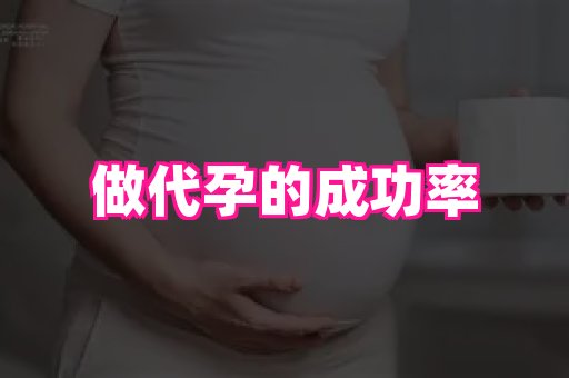 武汉助孕网 3